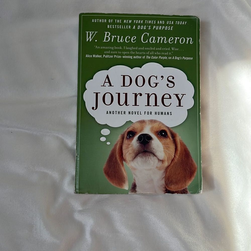 Chapter Book Bundle 4th-7th Grades - Picture 7 of 7
